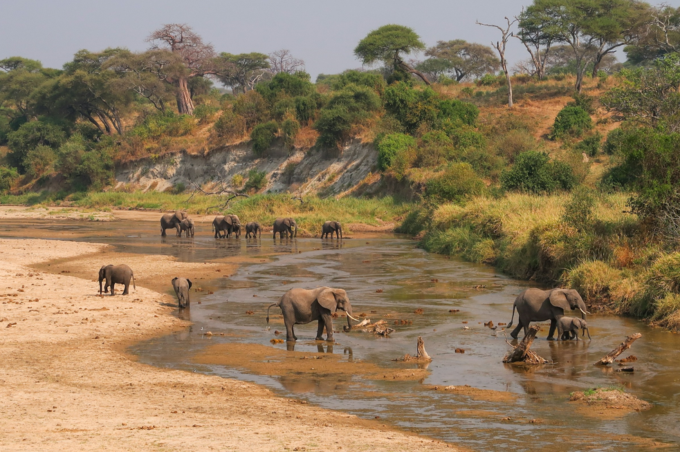 Tansania - von der Serengeti zum Traumstrand